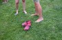 Thumbs/tn_Woodstock 2.0 2024 351.jpg